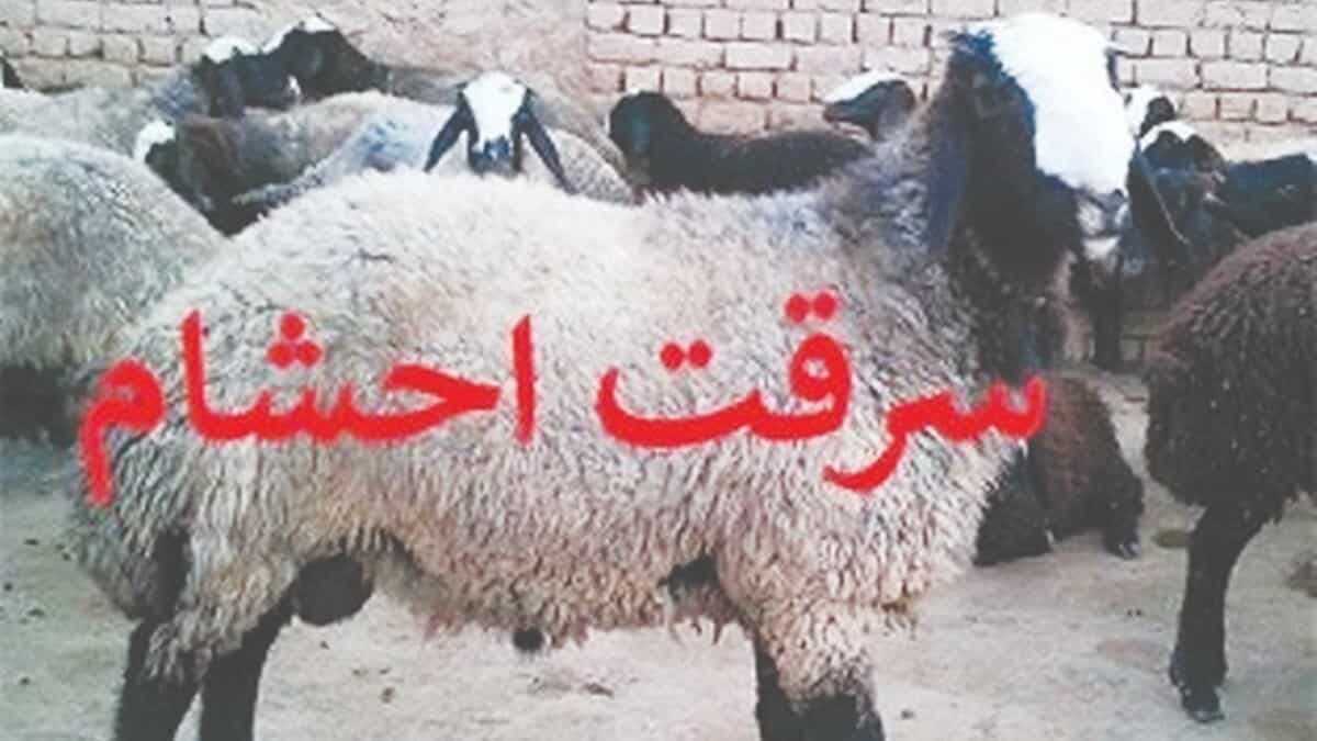 تکرار سرقت احشام دربرخی  مزارع بافق؛  دامداران  خواستار گشت‌زنی شبانه شدند
