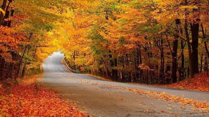 یک روز پاییزی ، با ترانه جانان با شما هستیم